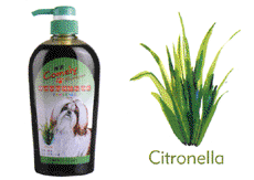 shampoo1.gif (9661 Ӧ줸)